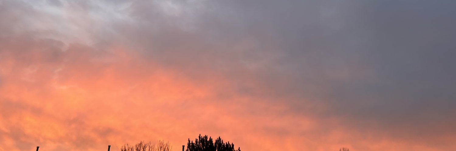 annaehlers's profile banner image