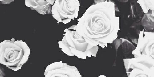 rano0oshaba7r's profile banner image