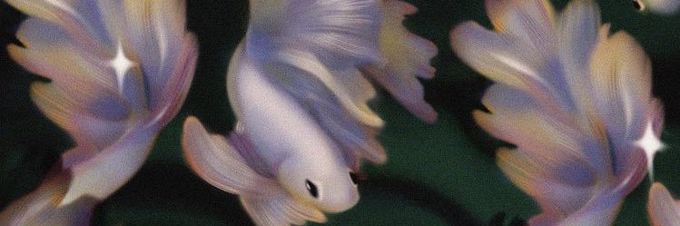 whoisrose__'s profile banner image