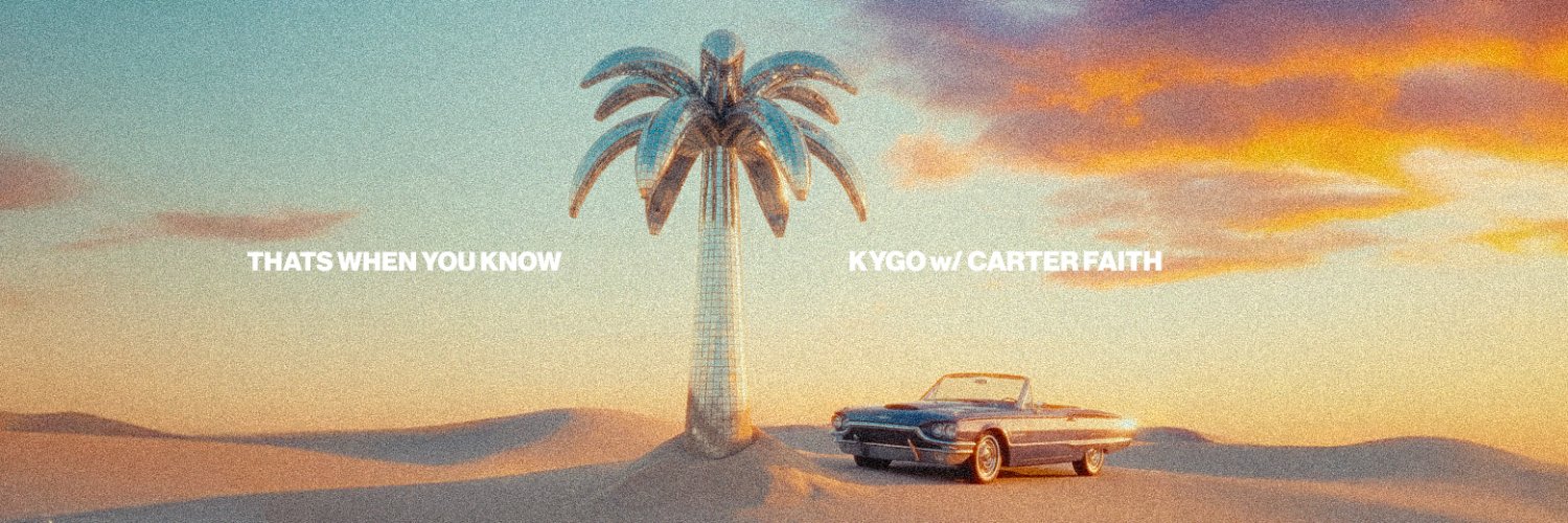 Kygo banner