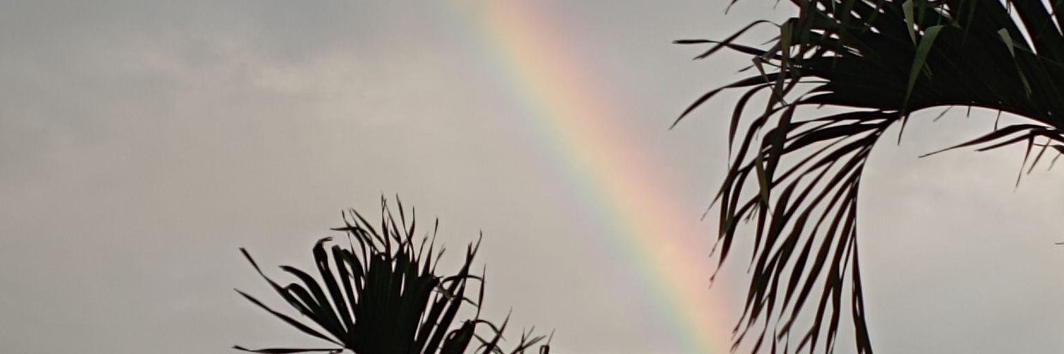 aleja0527's profile banner image