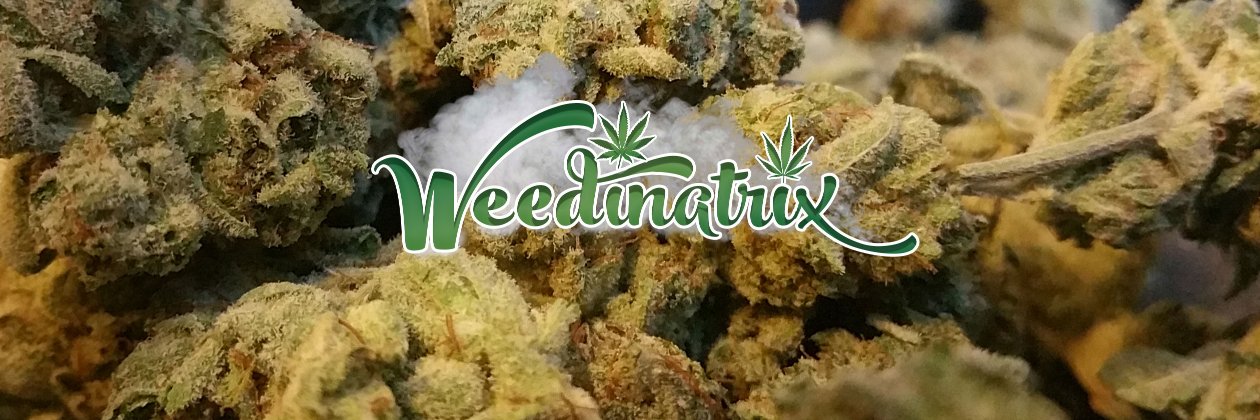 weedinatrix's profile banner image