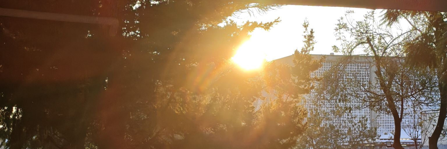 RodrigoS28242's profile banner image