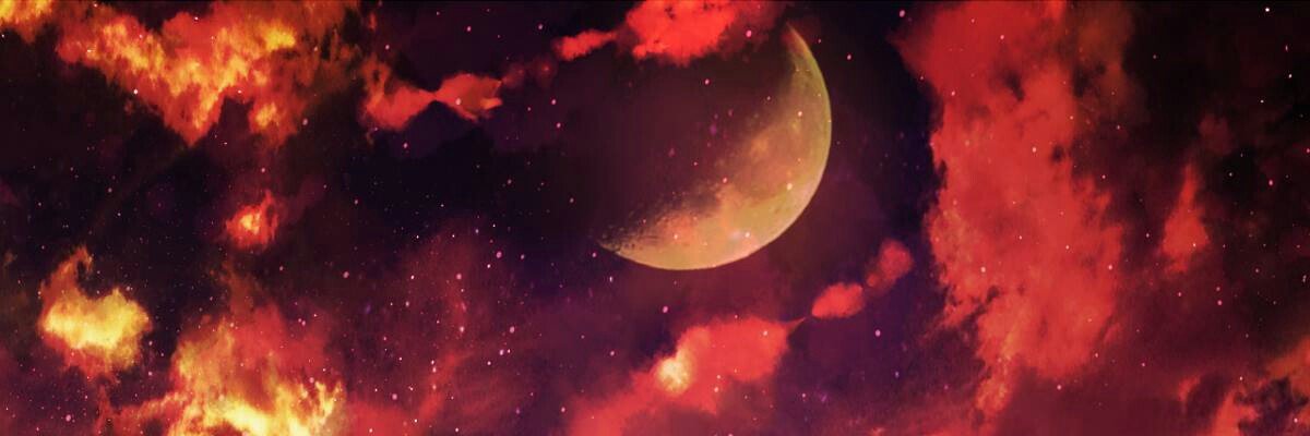 Kisarafoxs's profile banner image