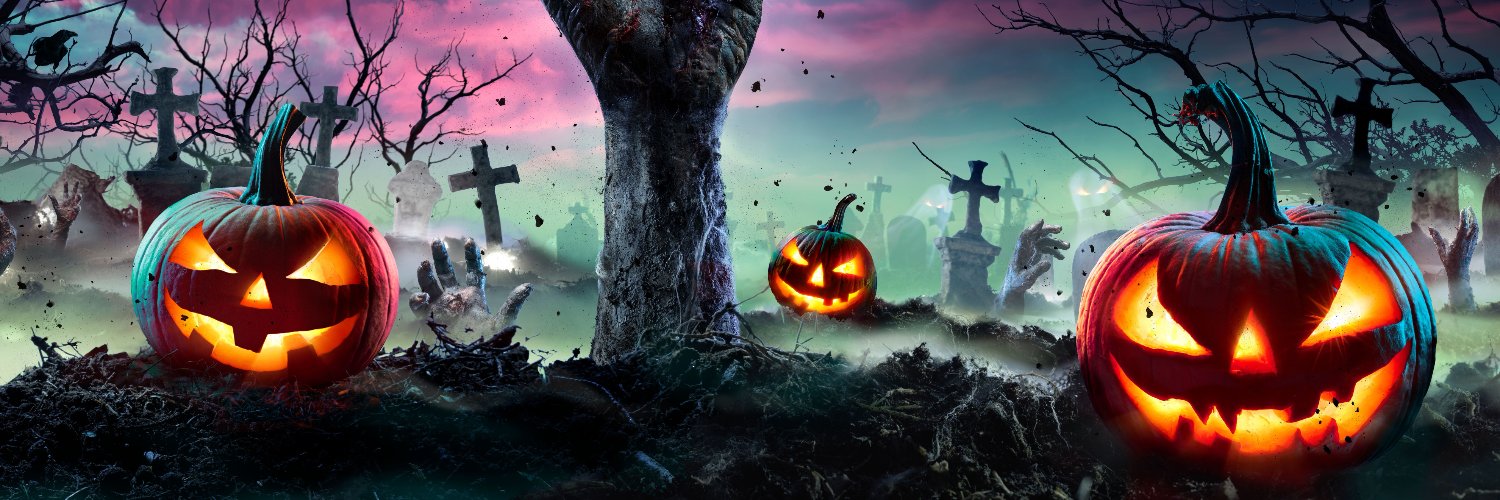 NdeTerror's profile banner image