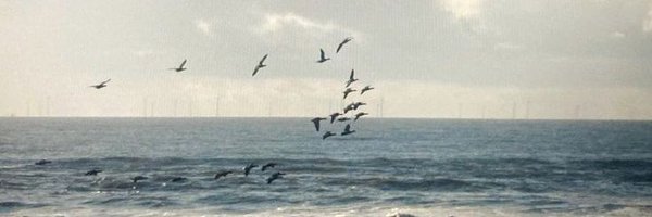 amemiui Profile Banner