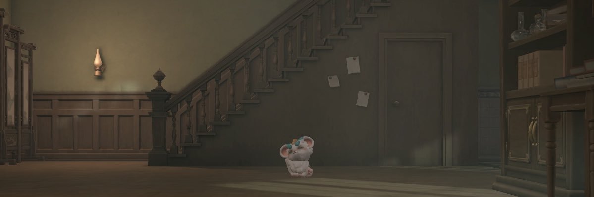 Araree004's profile banner image