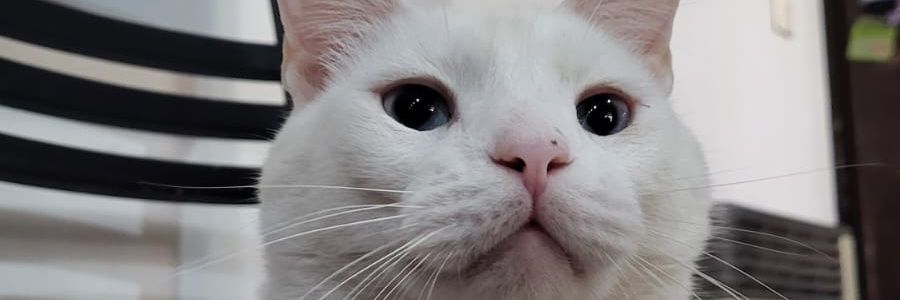 MartinLermer's profile banner image