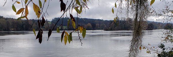 xbenzerox Profile Banner