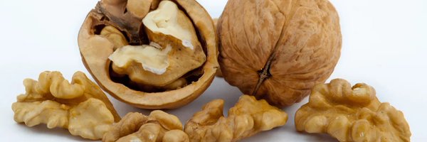 gensquash Profile Banner