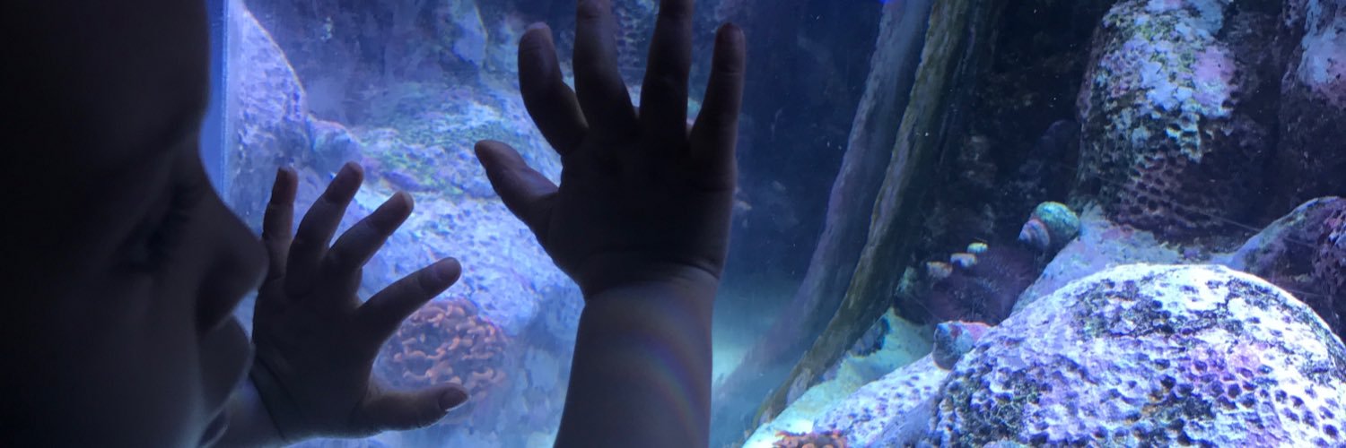 A_J_J__'s profile banner image
