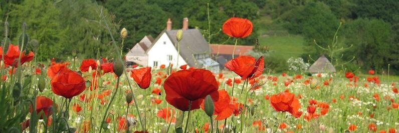 assingtonmill's profile banner image
