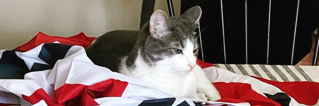 WV Piper 🇺🇸🚩 banner