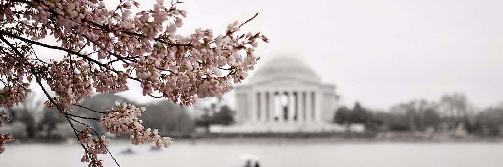 T_Eliopoulos's profile banner image