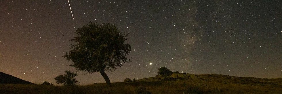 zelisakkas's profile banner image