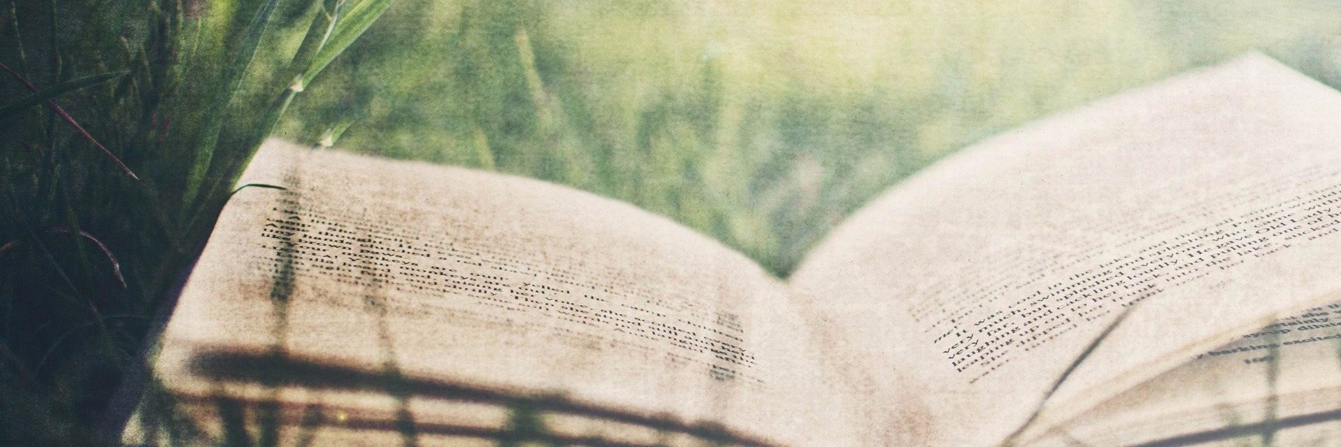 WritingCompt's profile banner image