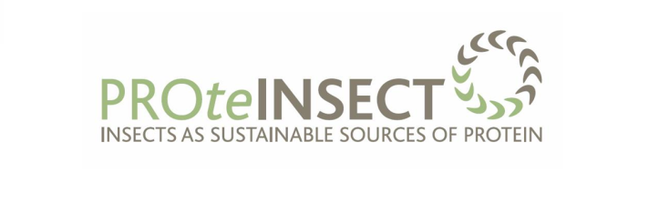 PROteINSECT's profile banner image