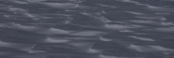 ASPHA_ Profile Banner