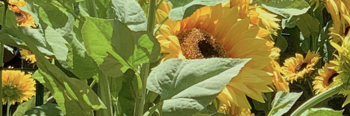 dokodemonai758's profile banner image