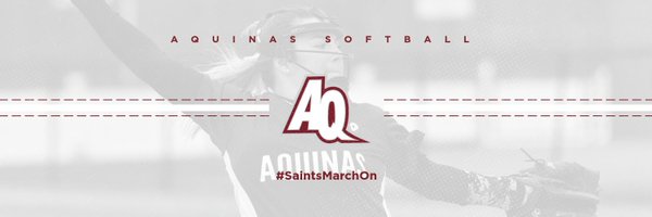 AQSoftball Profile Banner