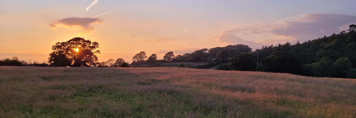 Hannah Spanner banner