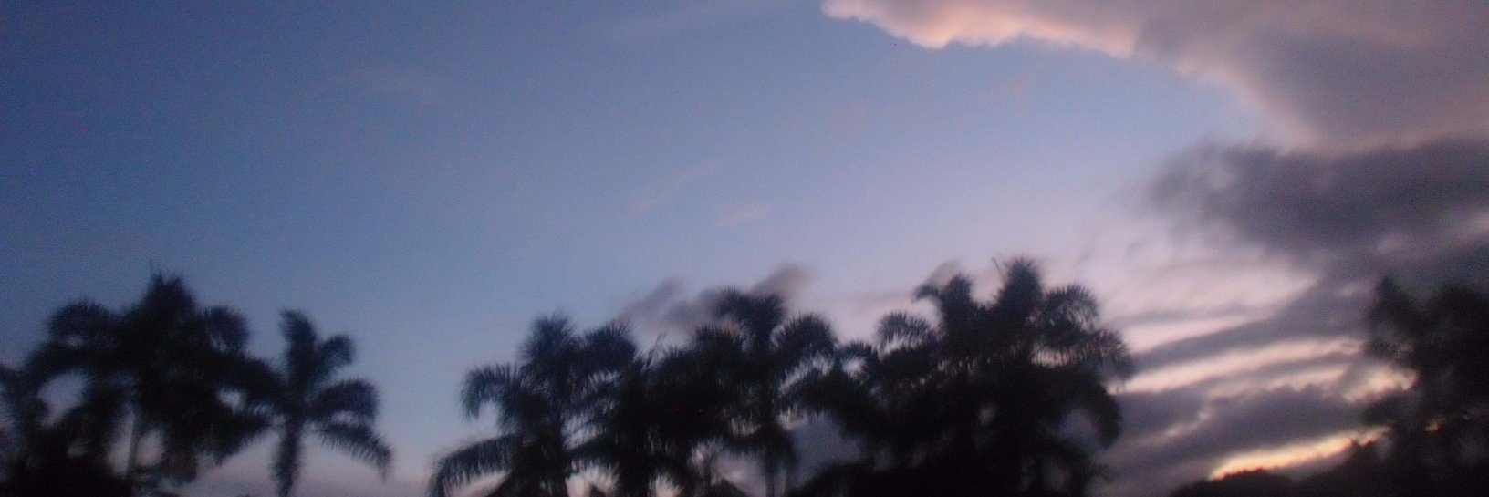 laucardenass's profile banner image