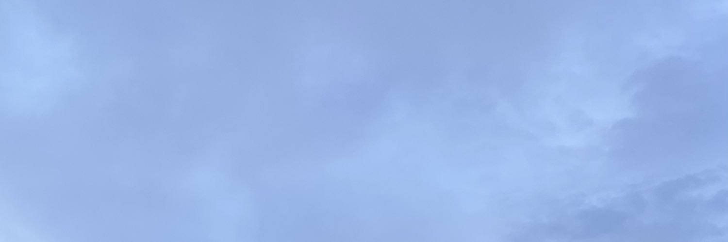 raaylii's profile banner image