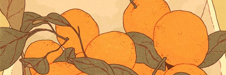 amelia ✦ banner