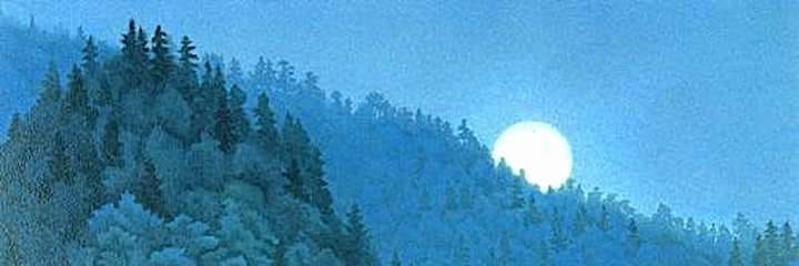 Mahi Imany | ماهی ایمانی banner