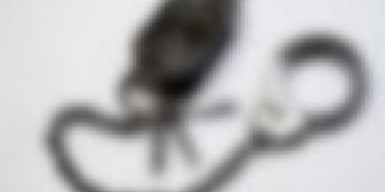 _Arss__'s profile banner image