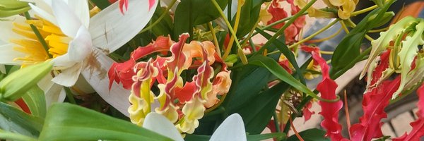 dheeraj_ma23634 Profile Banner