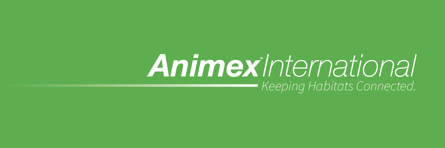 Animex International banner