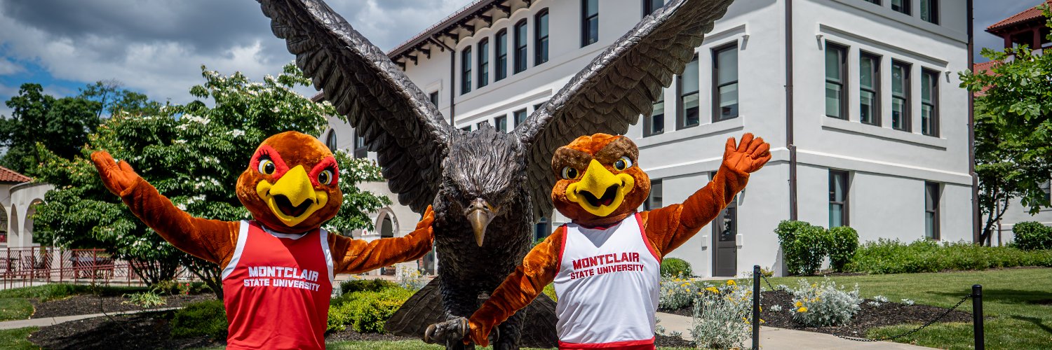 Rocky the Red Hawk (he/him) banner