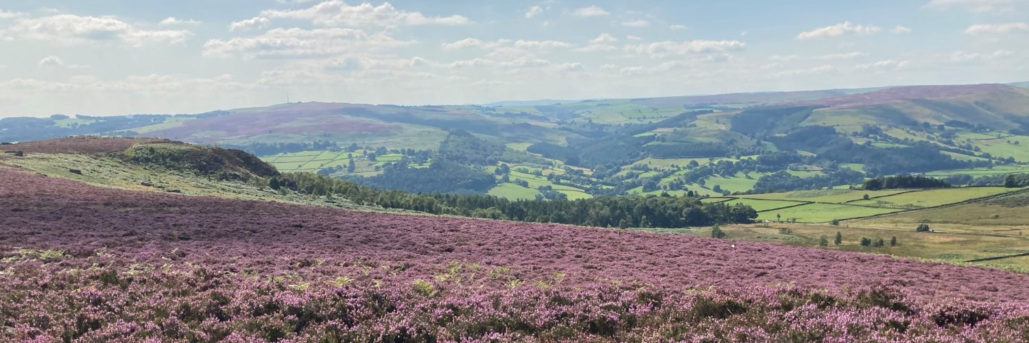 Dr Rachel Evley banner