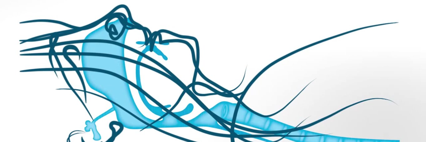 jorge_chn's profile banner image