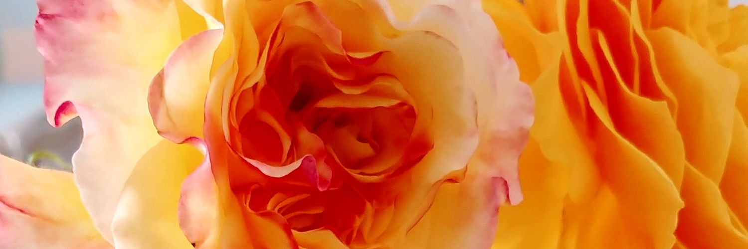 dervishdot's profile banner image