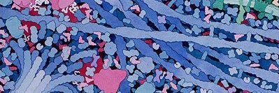 Metilfenidato se salió del grupo . banner