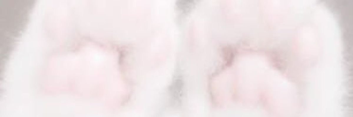 _______na___o0's profile banner image