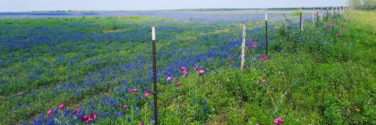 Texas_Adri's profile banner image
