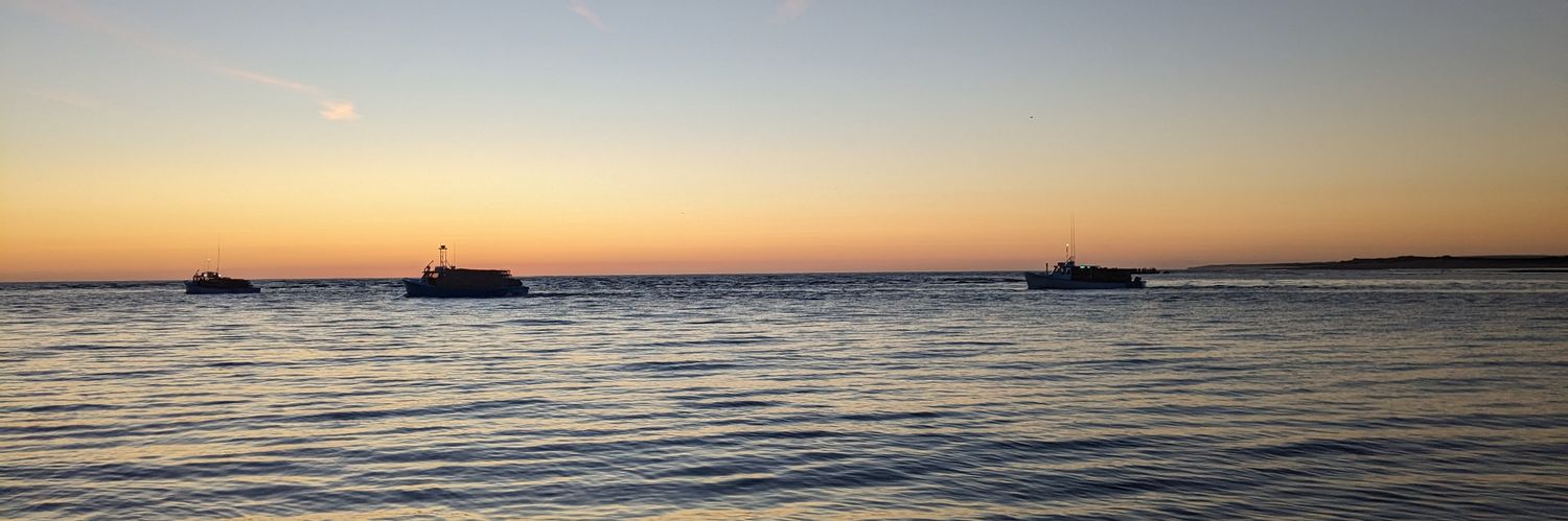 TheTMacD's profile banner image