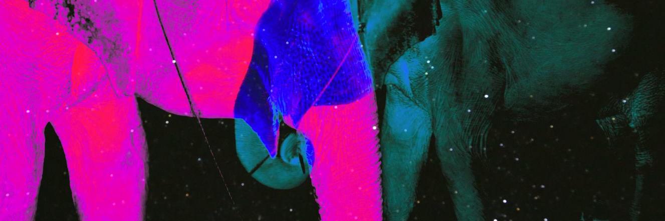 smellsdreamy's profile banner image