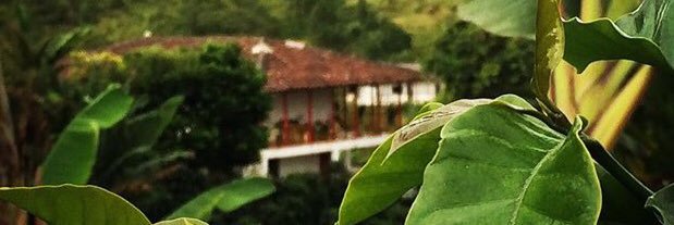 Juan David Hurtado H banner