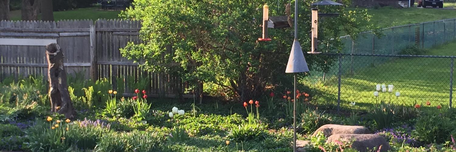 MelissaYacuzzo's profile banner image