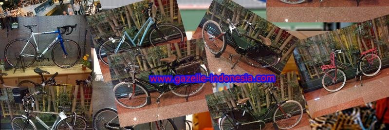GazelleIndo's profile banner image