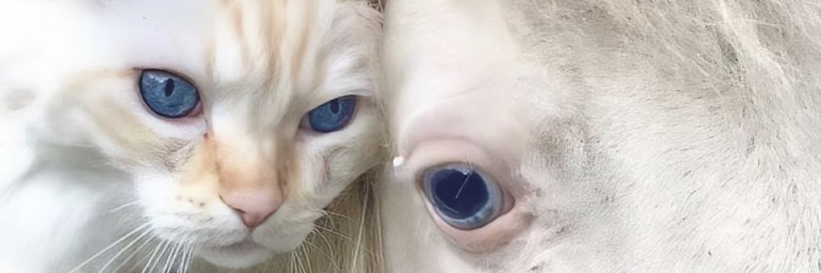 dng1358972's profile banner image