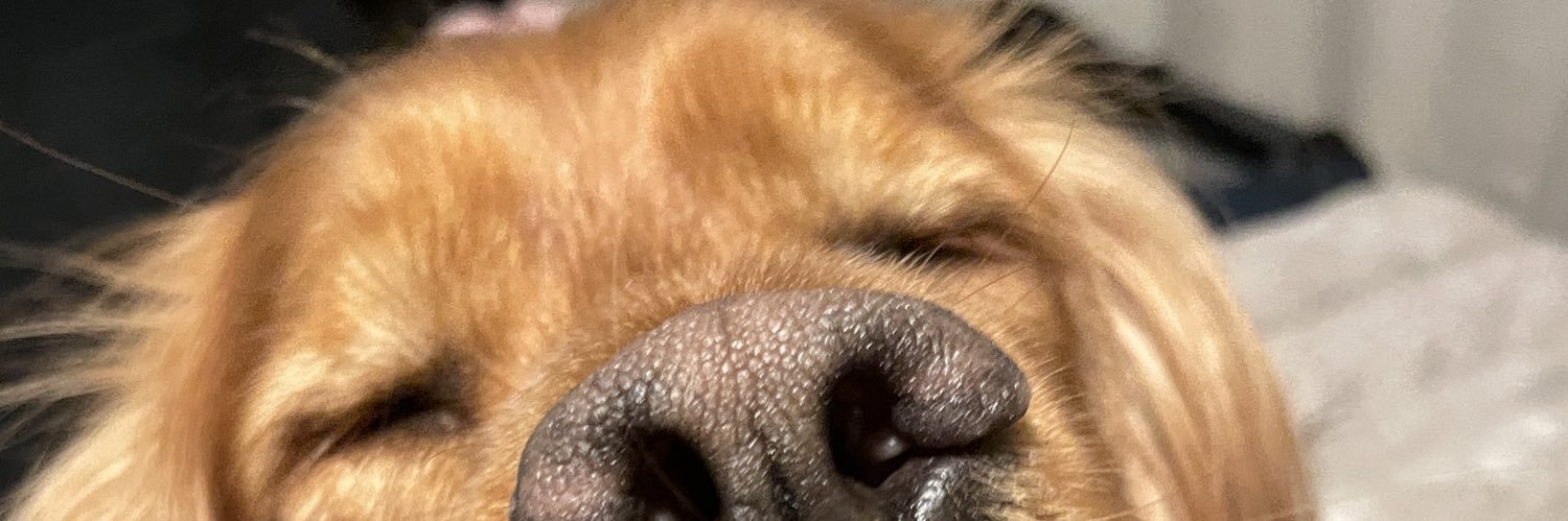 joechoe's profile banner image