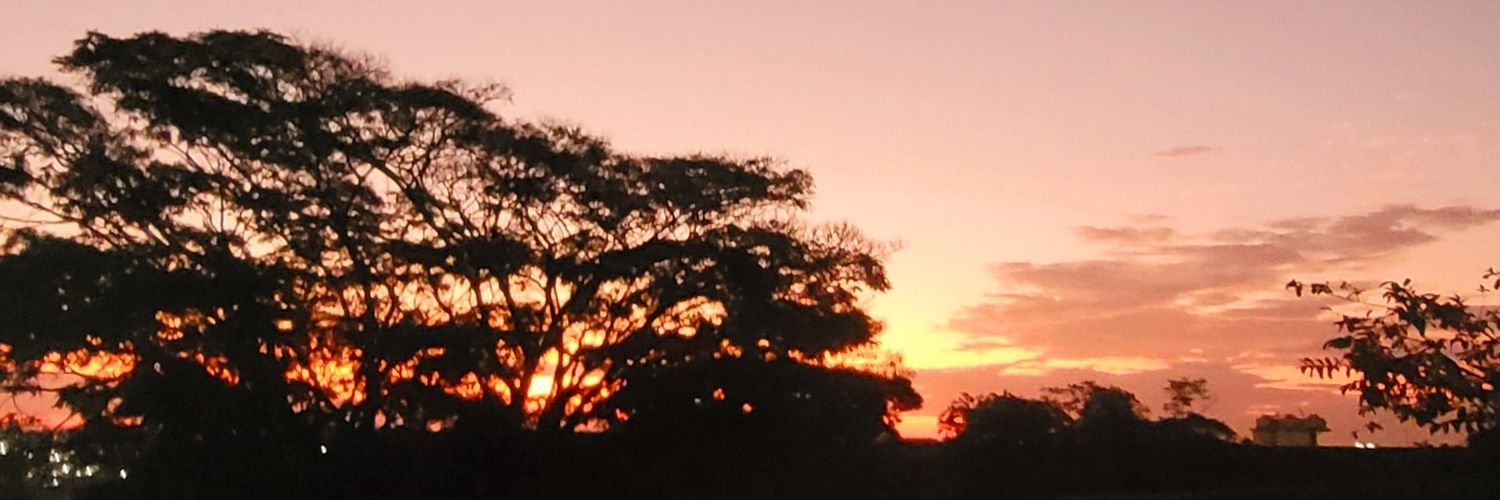 roselygramigna's profile banner image