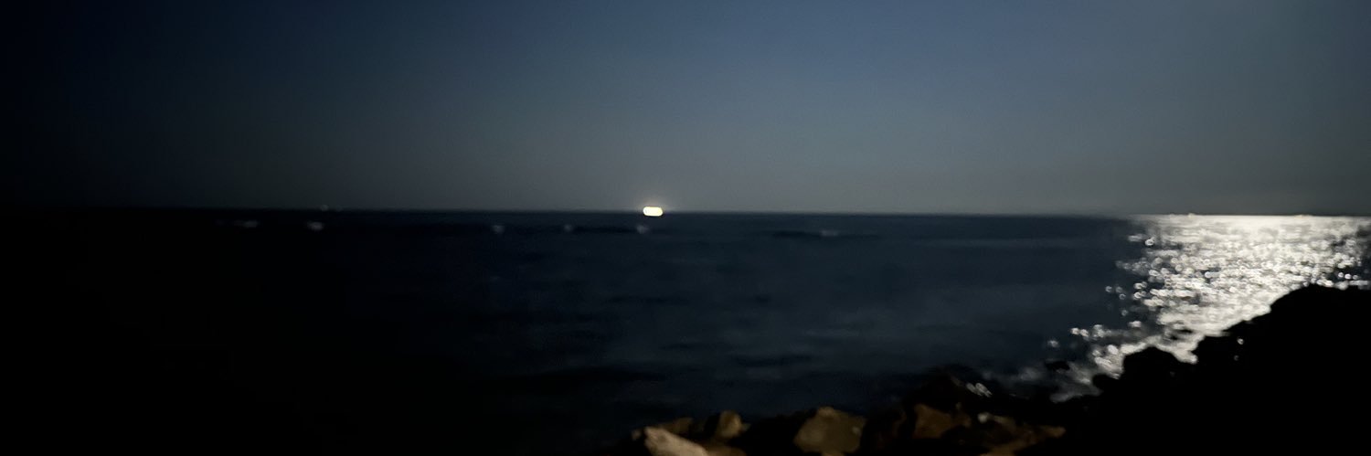 болгарський мрак banner