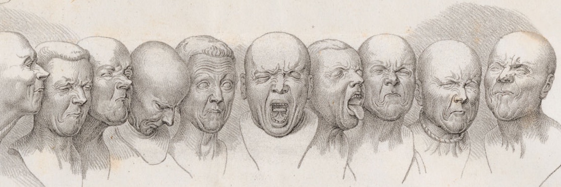 Chris Chapman / @spinachcharm@🦣astodon.social banner