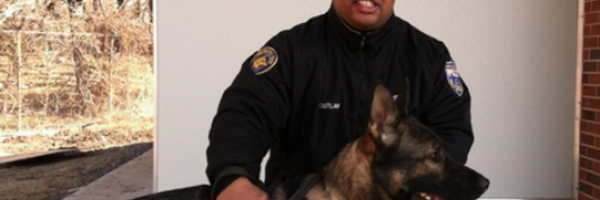 PPDK9Thor Profile Banner